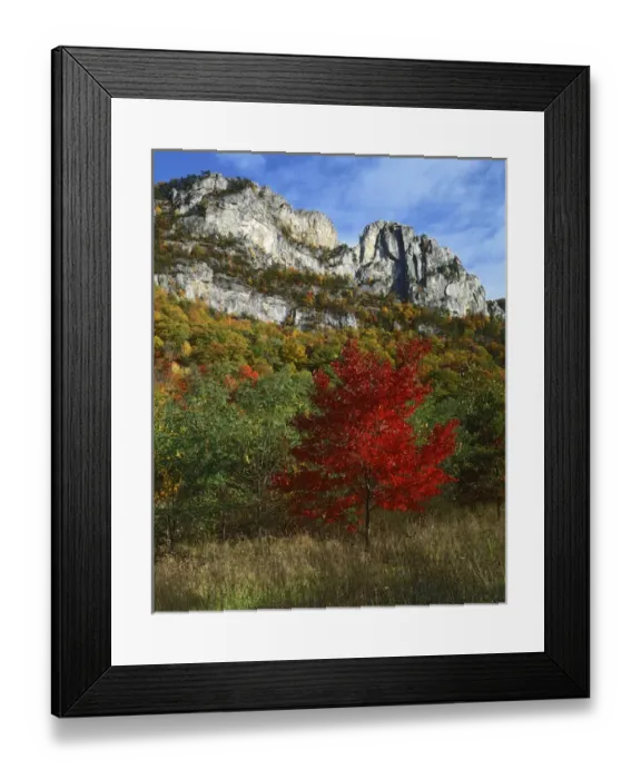 Framed Print : USA, West Virginia, Spruce Knob-Seneca Rocks National Recreation Area, Monongahela Framed Print : USA, West Virginia, Spruce Knob-Seneca Rocks National Recreation Area, Monongahela