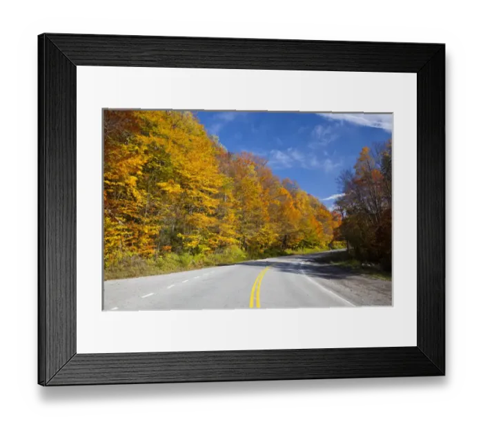 Framed Print : USA, West Virginia, Cheat Bridge. Monongahela National Forest, fall foliage, Rt. 250 Framed Print : USA, West Virginia, Cheat Bridge. Monongahela National Forest, fall foliage, Rt. 250