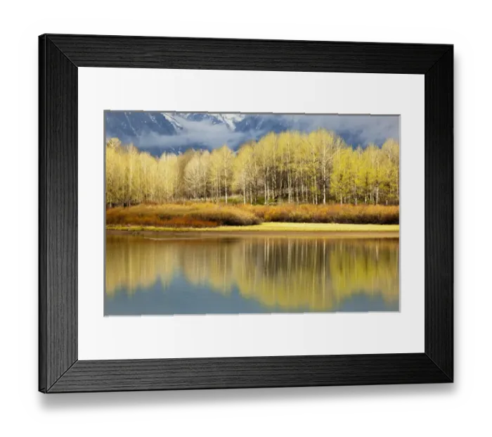 Framed Print : Aspen stand and reflection in early spring, Grand Teton National Park, Wyoming