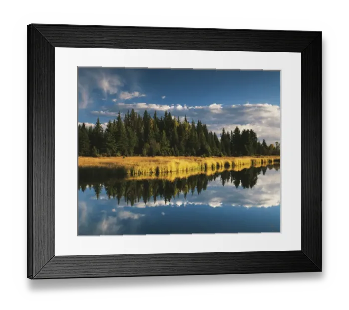 Framed Print : USA, Wyoming, Grand Teton National Park, Trees reflecting in Snake River