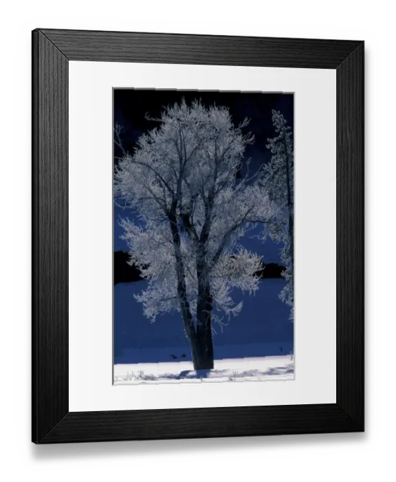Framed Print : NA, USA, Wyoming, Yellowstone NP Landscape Framed Print : NA, USA, Wyoming, Yellowstone NP Landscape