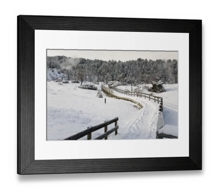 Framed Print : USA, WY, Yellowstone National Park. A wooden pathway leads visitors to the various Framed Print : USA, WY, Yellowstone National Park. A wooden pathway leads visitors to the various