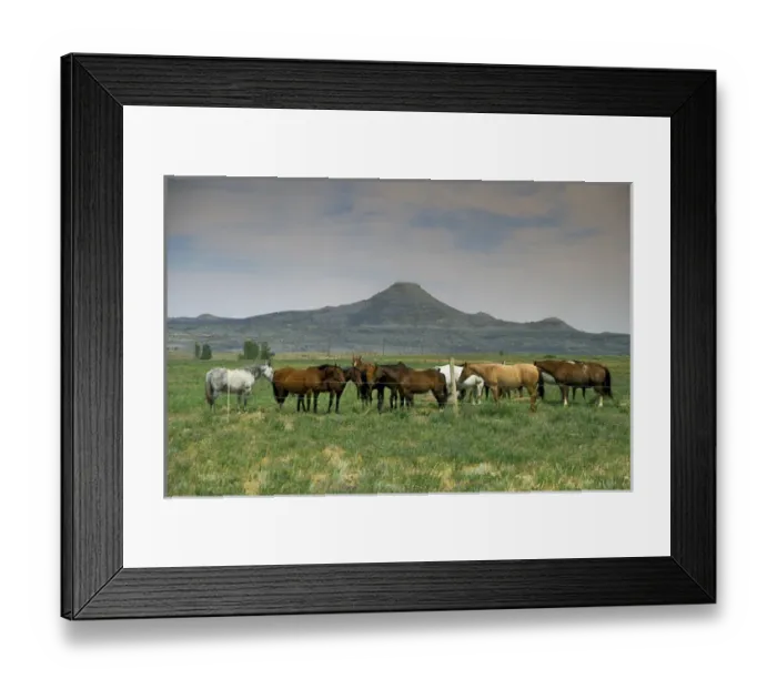 Framed Print : Arapaho traditional homelands in Wyoming with a heard of horses in the foreground