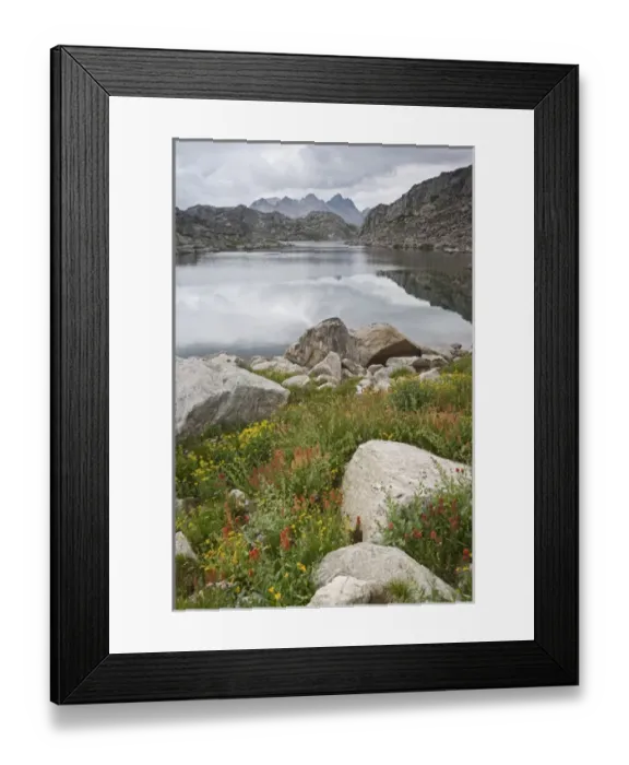 Framed Print : USA, Wyoming, Bridger National Forest, Bridger Wilderness. Wildflowers grow near Unnamed Lake Framed Print : USA, Wyoming, Bridger National Forest, Bridger Wilderness. Wildflowers grow near Unnamed Lake