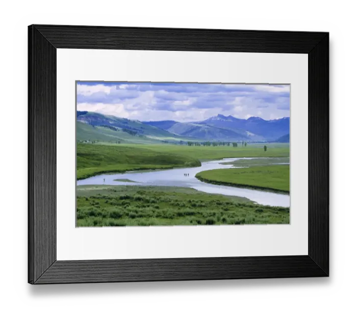 Framed Print : Fly fishing in the Lamar River in Yellowstone National Park Framed Print : Fly fishing in the Lamar River in Yellowstone National Park