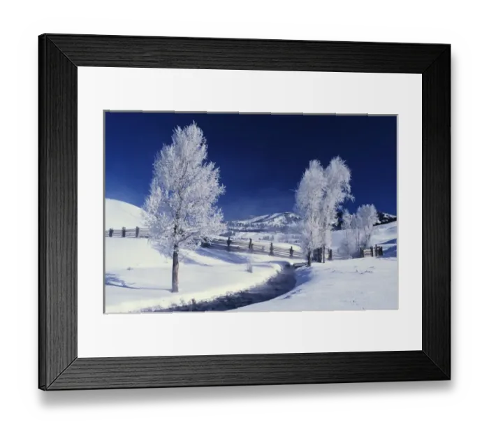 Framed Print : Wyoming. Yellowstone National Park