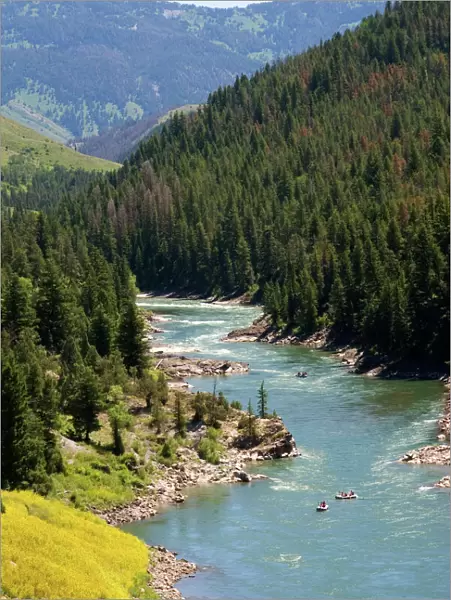 Whitewater rafting down the Snake River in Wyoming. snake, river, snake river