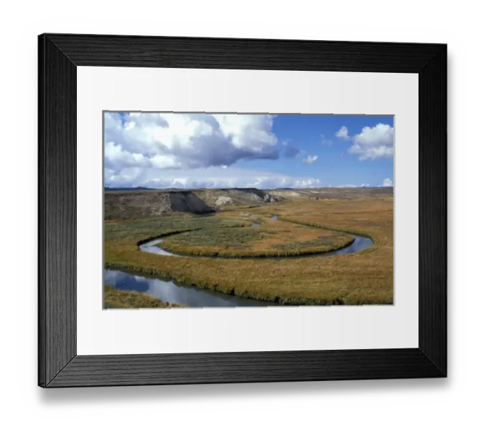 Framed Print : Riparian area near Hayden Valley in Yellowstone National Park Framed Print : Riparian area near Hayden Valley in Yellowstone National Park