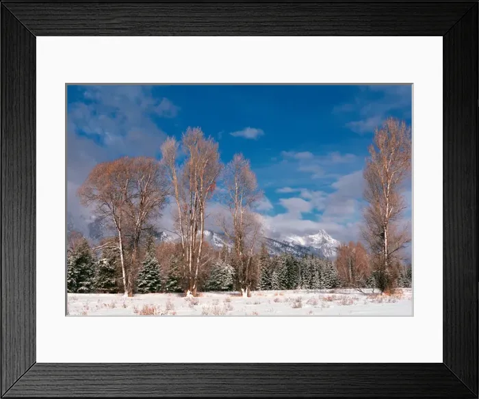 Framed Print : N. A. USA, Wyoming, Grand Teton Nat l Park Grand Tetons Framed Print : N. A. USA, Wyoming, Grand Teton Nat l Park Grand Tetons