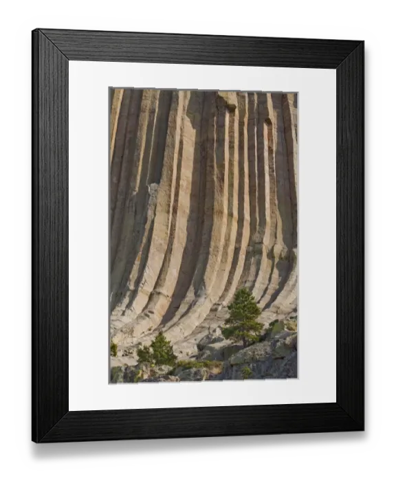 Framed Print : Devils Tower National Monument, Wyoming, North America, USA. Hexagonal Columns Framed Print : Devils Tower National Monument, Wyoming, North America, USA. Hexagonal Columns