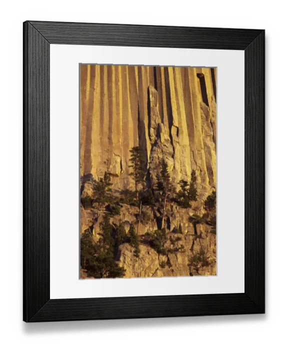 Framed Print : Devils Tower National Monument, Wyoming, North America, USA. Hexagonal Columns Framed Print : Devils Tower National Monument, Wyoming, North America, USA. Hexagonal Columns