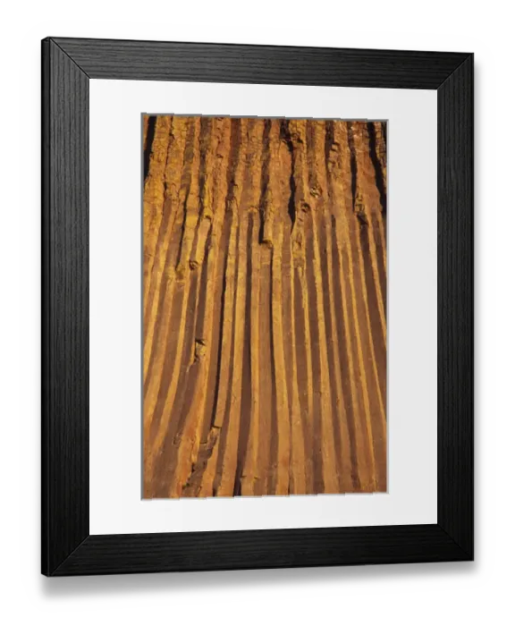 Framed Print : Devils Tower National Monument, Wyoming, North America, USA. Hexagonal Columns Framed Print : Devils Tower National Monument, Wyoming, North America, USA. Hexagonal Columns