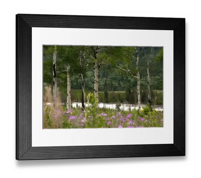 Framed Print : Landscape in Yellowstone National Park