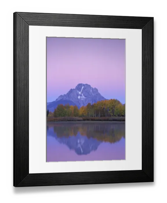 Framed Print : NA, USA, Wyoming, Grand Teton National Park. Mount Moran towers over aspen trees Framed Print : NA, USA, Wyoming, Grand Teton National Park. Mount Moran towers over aspen trees