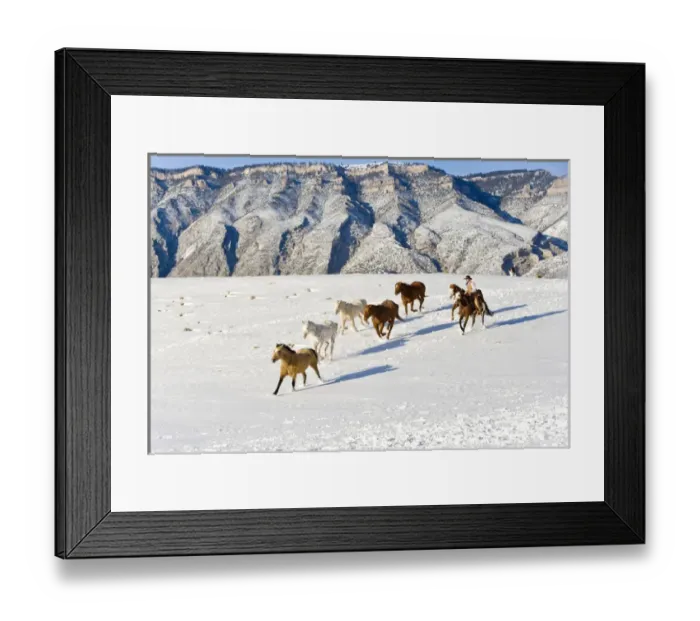 Framed Print : Cowboys with horses on the range on The Hideout Ranch in Shell Wyoming. (Multiple values) Framed Print : Cowboys with horses on the range on The Hideout Ranch in Shell Wyoming. (Multiple values)