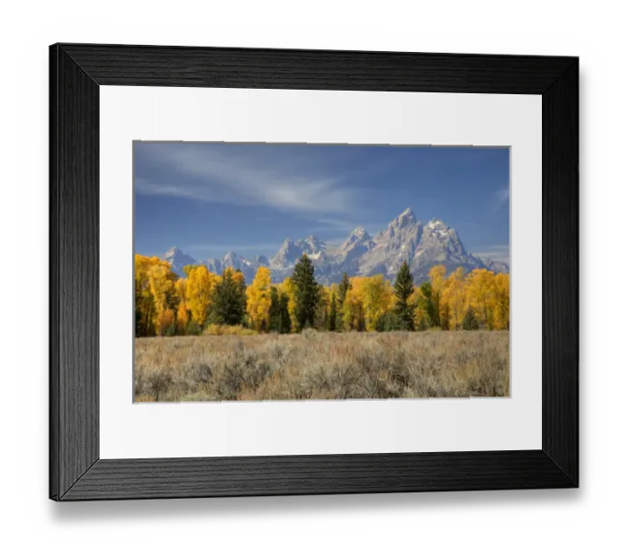 Framed Print : WY, Grand Teton National Park, Teton Range and Cottonwood trees Framed Print : WY, Grand Teton National Park, Teton Range and Cottonwood trees