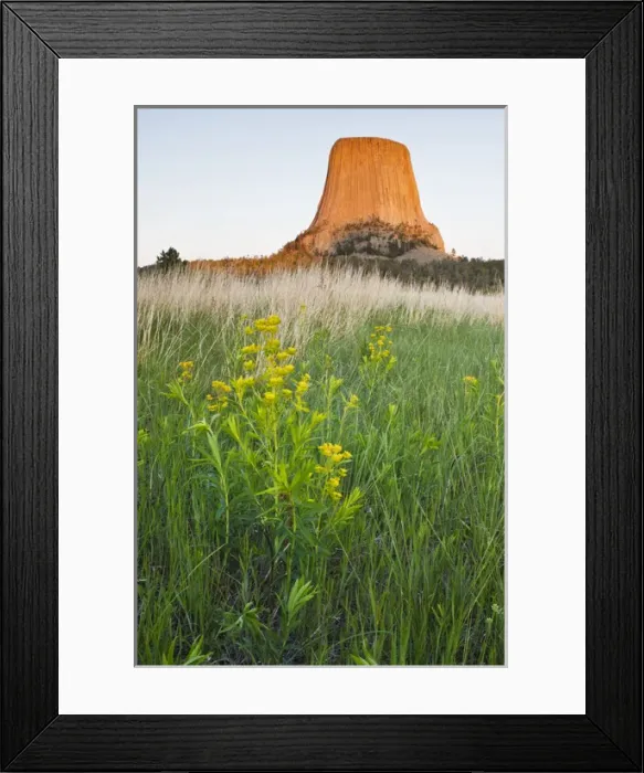 Framed Print : Devils Tower National Monument, Wyoming at sunset, spring