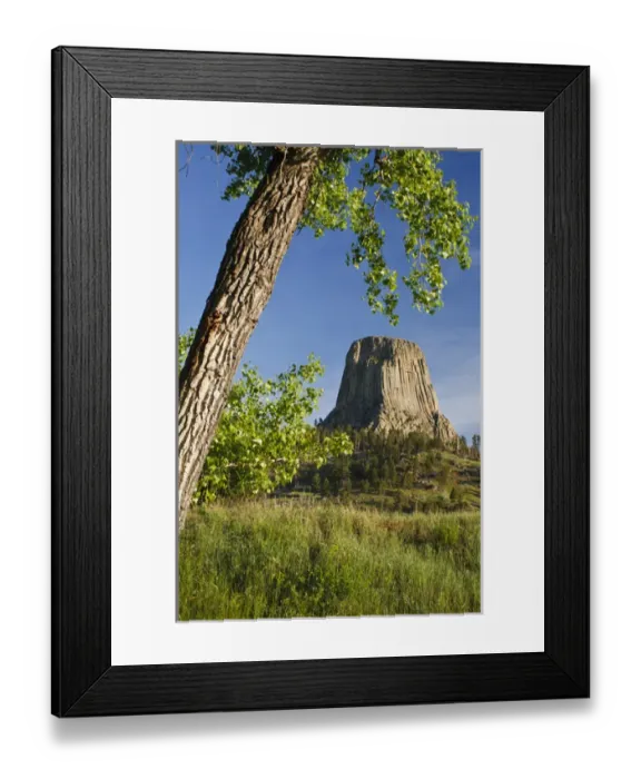 Framed Print : Devils Tower, Devils Tower National Monument, Wyoming