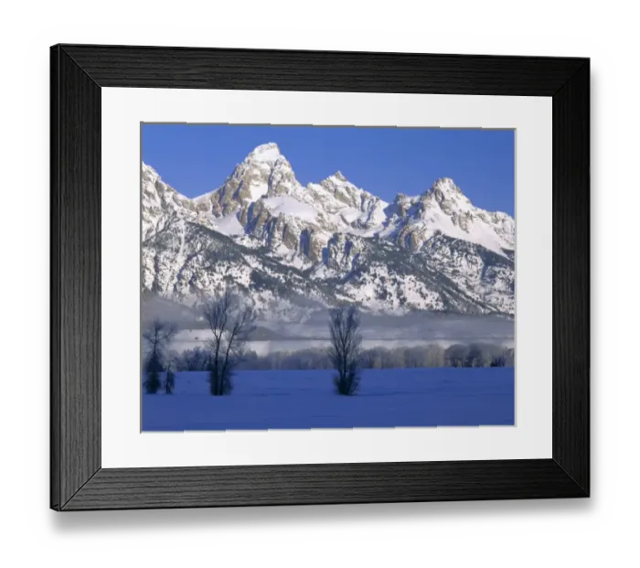 Framed Print : GRAND TETON NATIONAL PARK, WYOMING. USA. Fog & frosted trees below Grand Teton in winter Framed Print : GRAND TETON NATIONAL PARK, WYOMING. USA. Fog & frosted trees below Grand Teton in winter