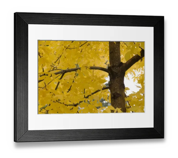 Framed Print : Buffalo, Wyoming, USA