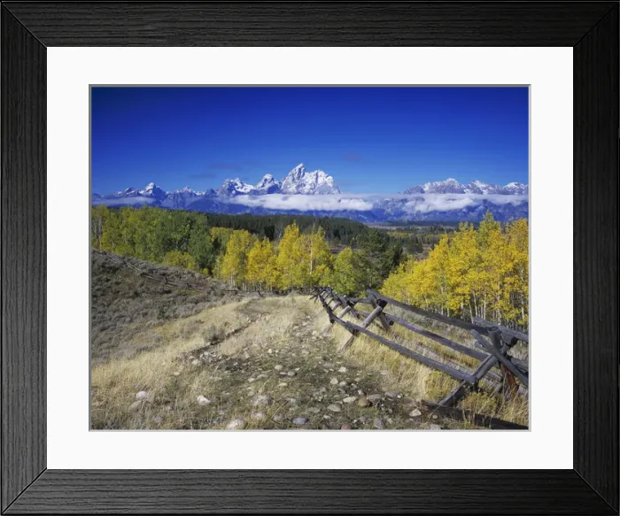 Framed Print : Teton Range and fence line fall colors, Grand Teton NP, Wyoming, September 2005