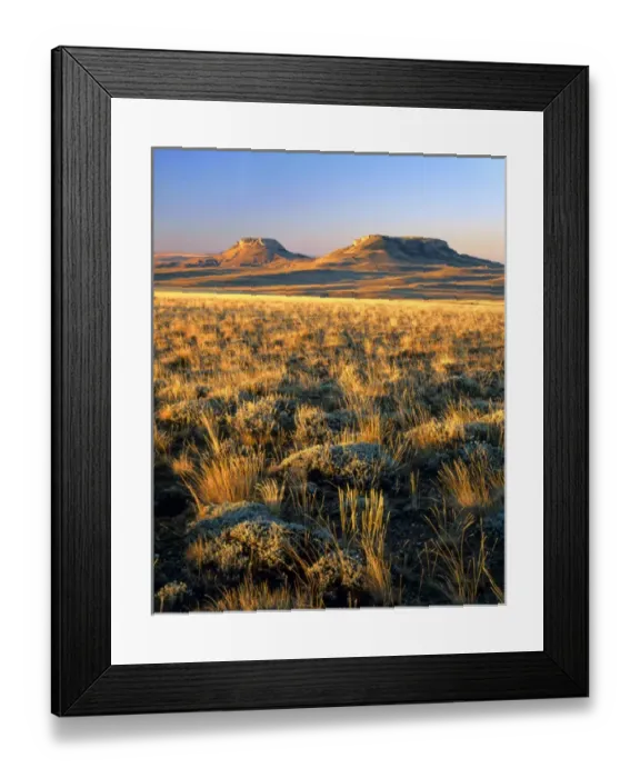 Framed Print : WYOMING. USA. Grasses & sagebrush on Continental Divide at sunrise. Oregon Buttes in distance Framed Print : WYOMING. USA. Grasses & sagebrush on Continental Divide at sunrise. Oregon Buttes in distance