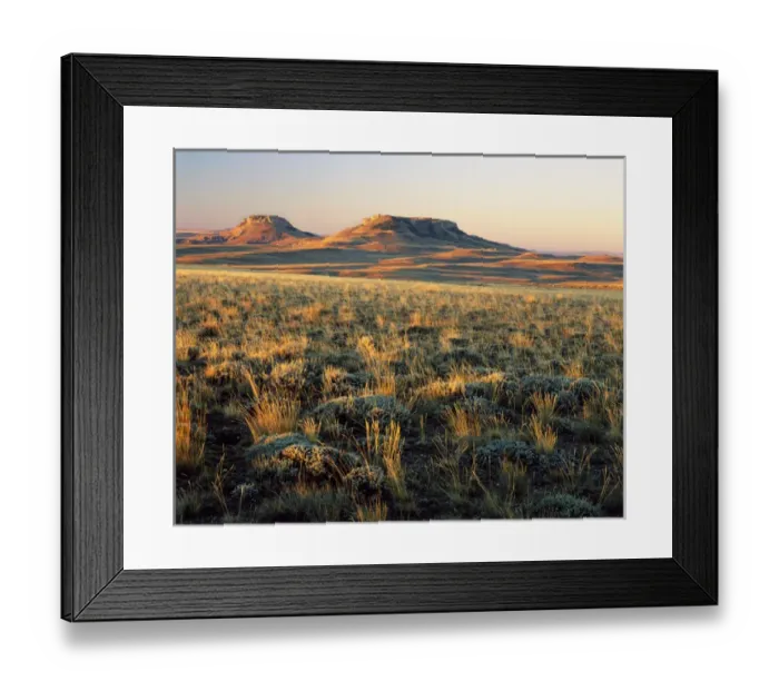 Framed Print : WYOMING. USA. Grasses & sagebrush on Continental Divide at sunrise. Oregon Buttes in distance Framed Print : WYOMING. USA. Grasses & sagebrush on Continental Divide at sunrise. Oregon Buttes in distance