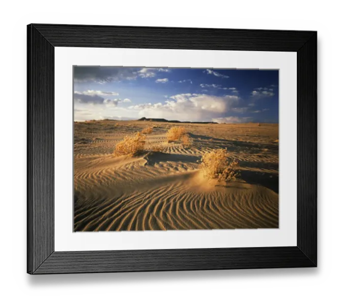 Framed Print : USA, Wyoming, View of Killpecker sand dunes at sunset Framed Print : USA, Wyoming, View of Killpecker sand dunes at sunset