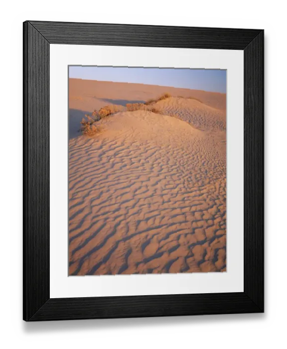 Framed Print : USA, Wyoming, Great Divide Basin, View of sand dunes and rabbit brush Framed Print : USA, Wyoming, Great Divide Basin, View of sand dunes and rabbit brush