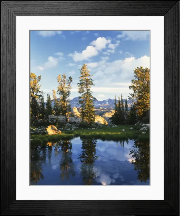Framed Print : USA, Wyoming, Landscape with reflection of lake Framed Print : USA, Wyoming, Landscape with reflection of lake