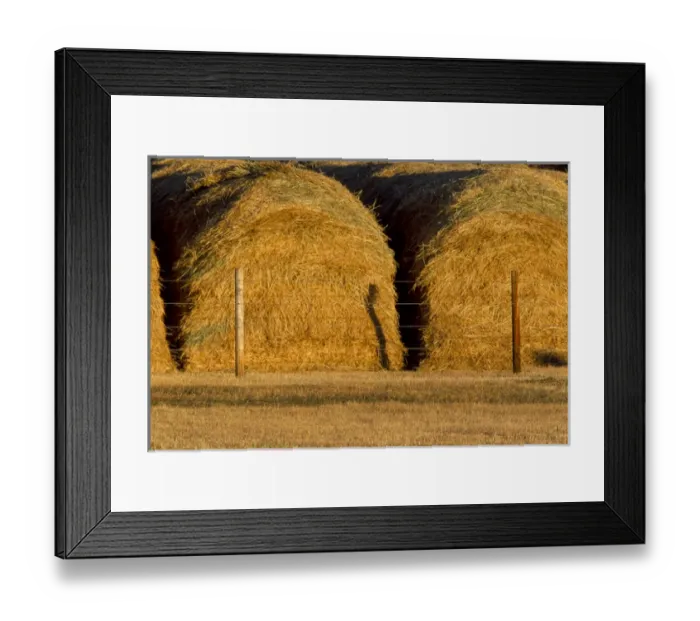 Framed Print : NA, USA, Wyoming, Hay Large stacks Framed Print : NA, USA, Wyoming, Hay Large stacks