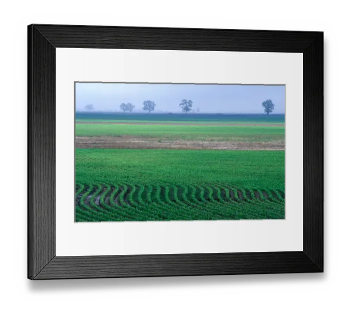 Framed Print : Spring plowed field of crops Framed Print : Spring plowed field of crops