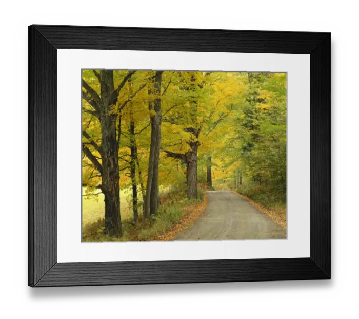 Framed Print : USA, New England, Country road passing by autumn trees