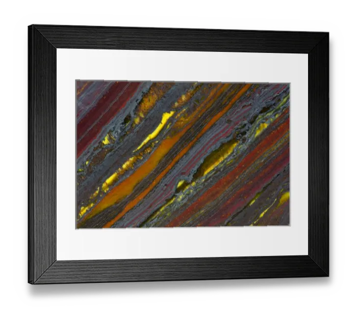 Framed Print : Austrailian Tiger Eye Framed Print : Austrailian Tiger Eye