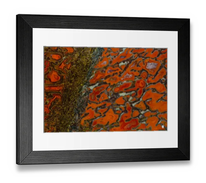 Framed Print : Dinosaur Petrified Bone Framed Print : Dinosaur Petrified Bone