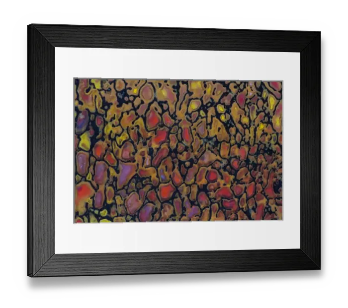Framed Print : Dinosaur Petrified Bone Framed Print : Dinosaur Petrified Bone