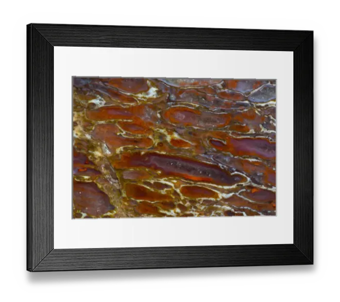 Framed Print : Dinosaur Petrified Bone Framed Print : Dinosaur Petrified Bone