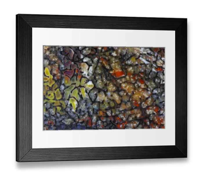 Framed Print : Dinosaur Petrified Bone Framed Print : Dinosaur Petrified Bone