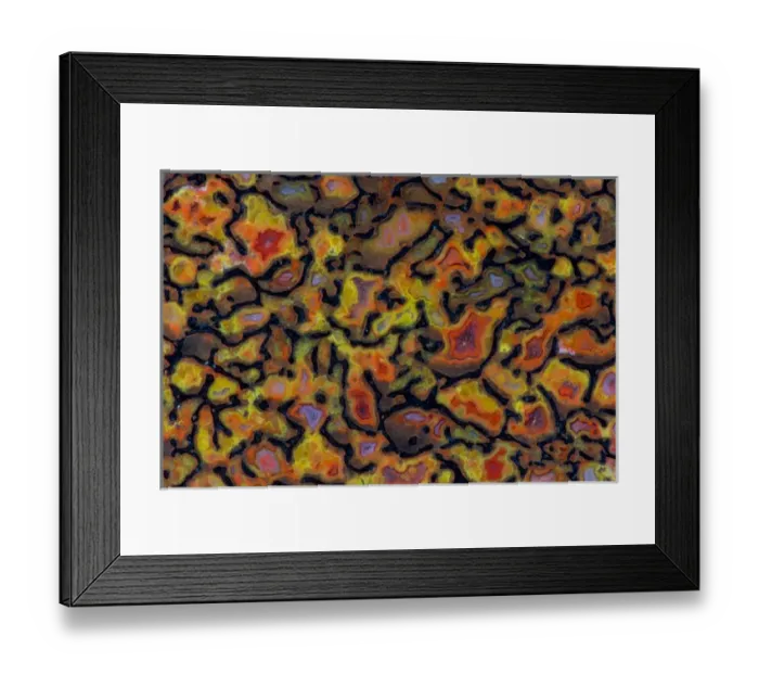 Framed Print : Dinosaur Petrified Bone Framed Print : Dinosaur Petrified Bone