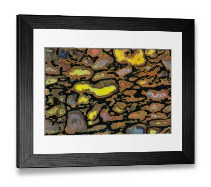 Framed Print : Dinosaur Petrified Bone Framed Print : Dinosaur Petrified Bone