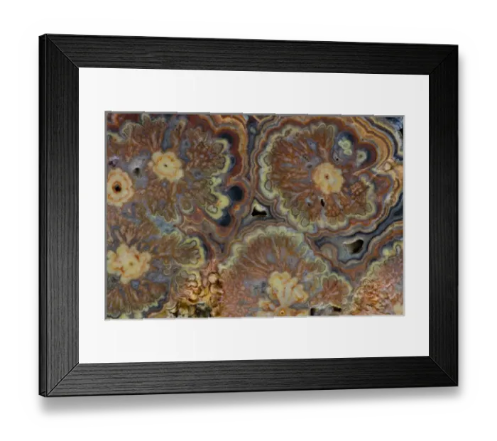 Framed Print : Flowering tube onyx - Mexico Framed Print : Flowering tube onyx - Mexico