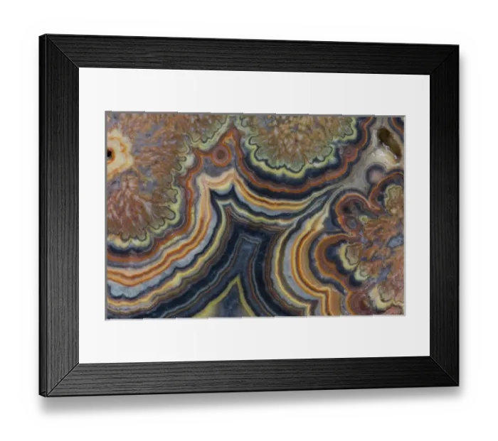 Framed Print : Flowering tube onyx - Mexico