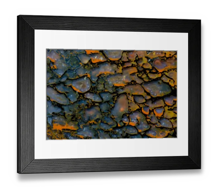 Framed Print : Dinosaur Petrified Bone Framed Print : Dinosaur Petrified Bone