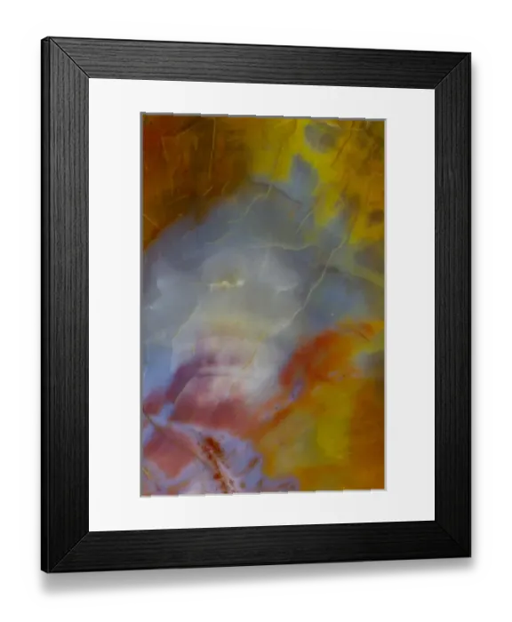 Framed Print : Petrified Wood close-up