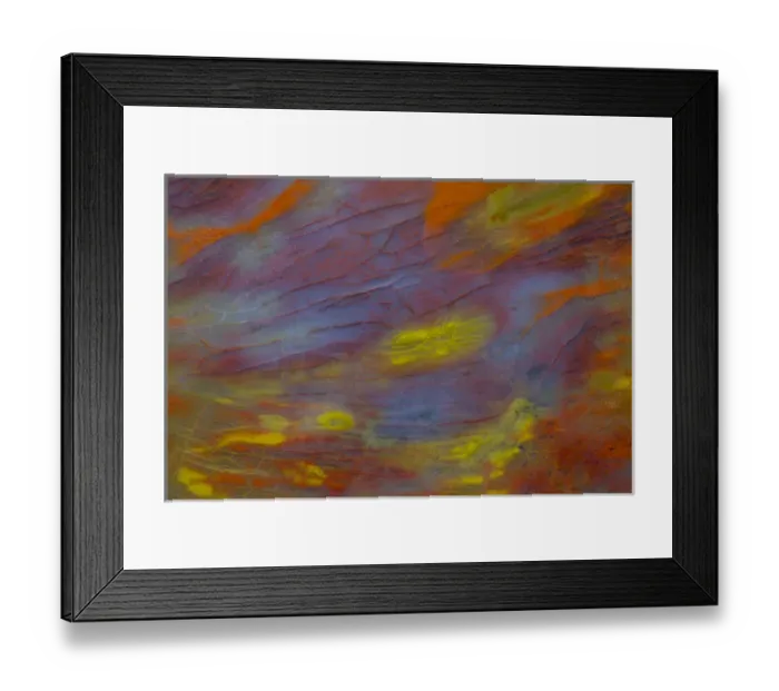 Framed Print : Petrified Wood close-up Framed Print : Petrified Wood close-up