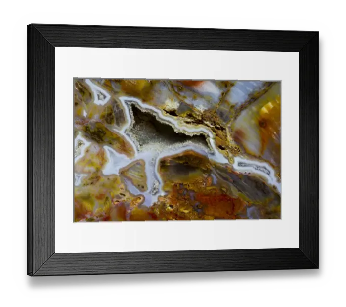 Framed Print : Petrified Wood close-up Framed Print : Petrified Wood close-up