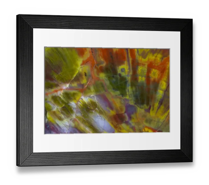 Framed Print : Petrified Wood close-up