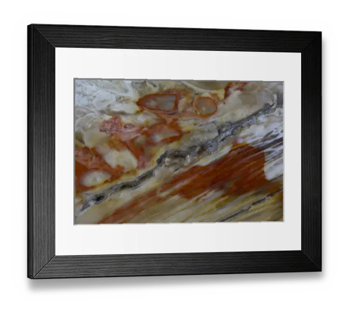 Framed Print : Petrified Wood close-up Framed Print : Petrified Wood close-up