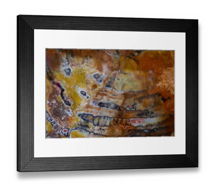 Framed Print : Petrified Wood close-up