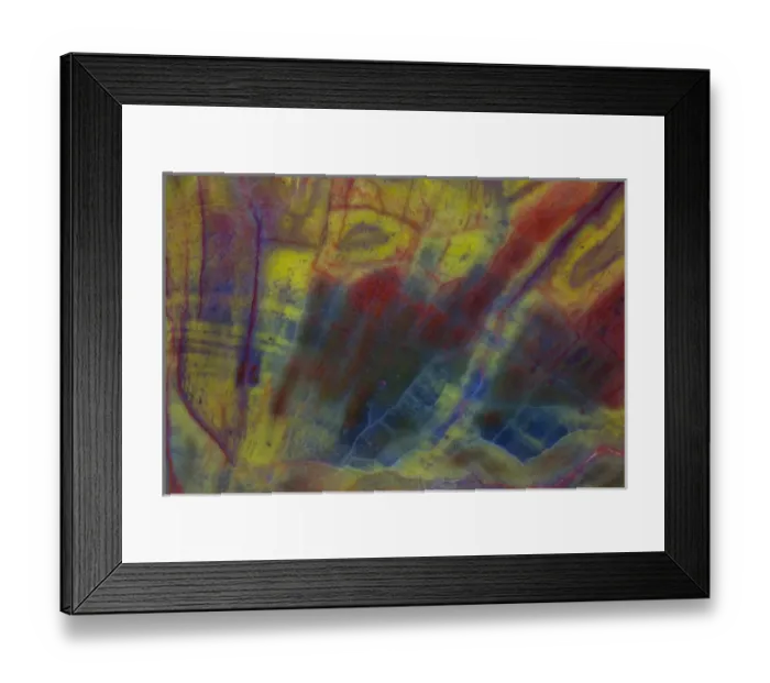 Framed Print : Petrified Wood close-up Framed Print : Petrified Wood close-up